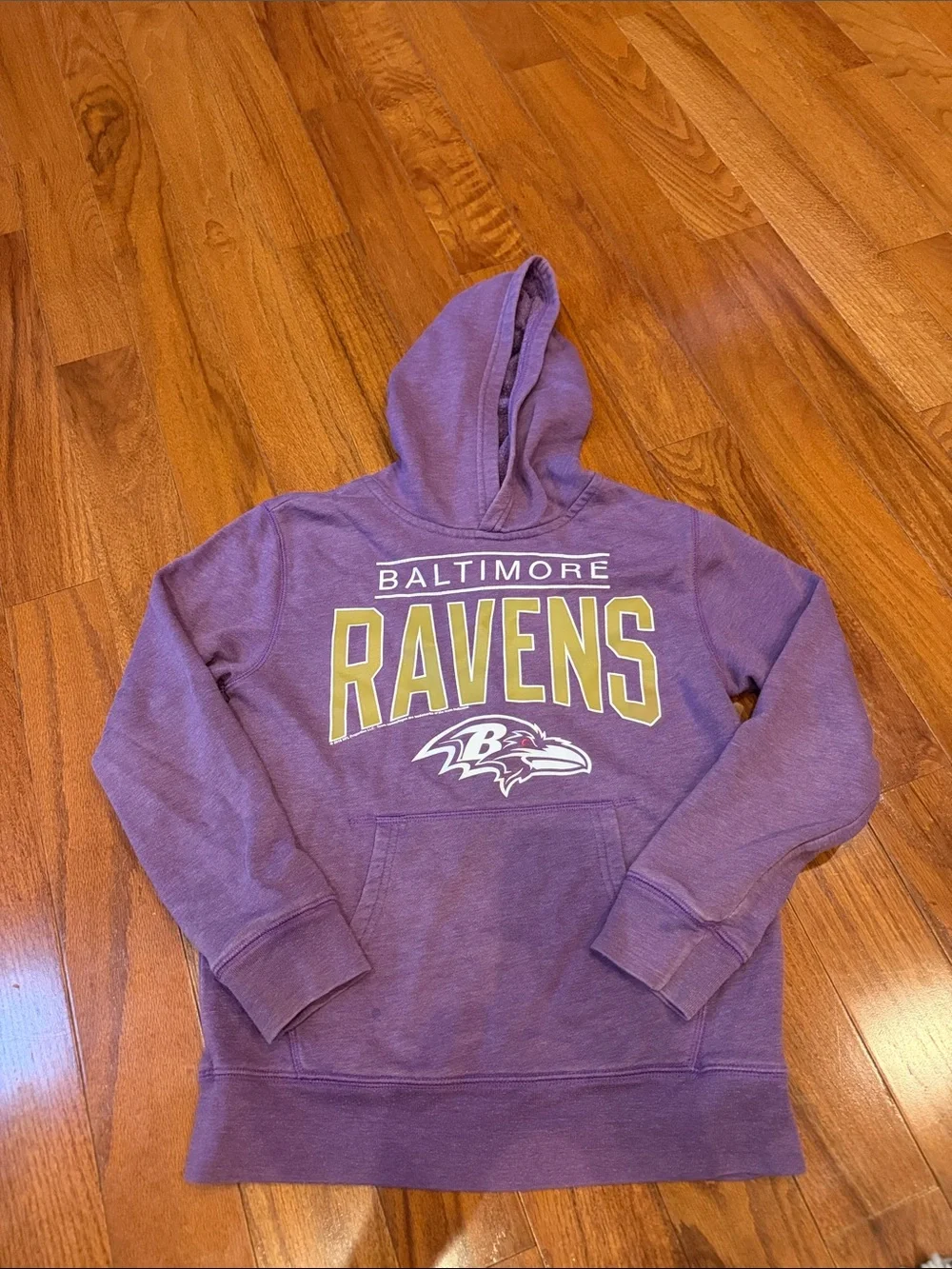 NFL Baltimore Ravens Purple Hoodie with Gold Lettering